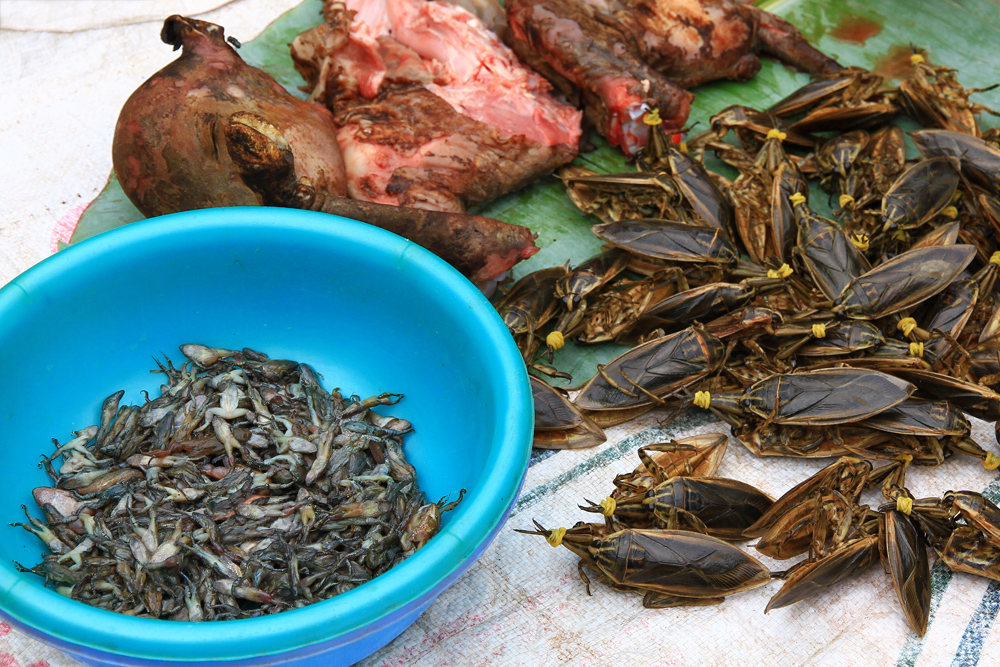 strange-animals-market-laos Bugs (Lethocerus), frogs & other dead animals can be found at the markets in Laos.