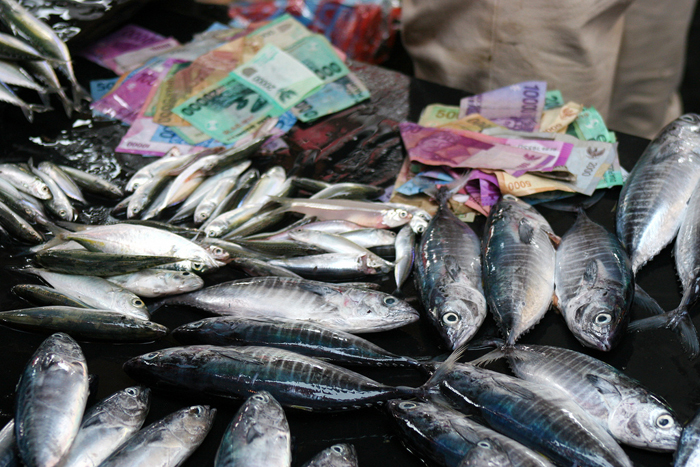 Fresh fish is always available at the market in Padang.