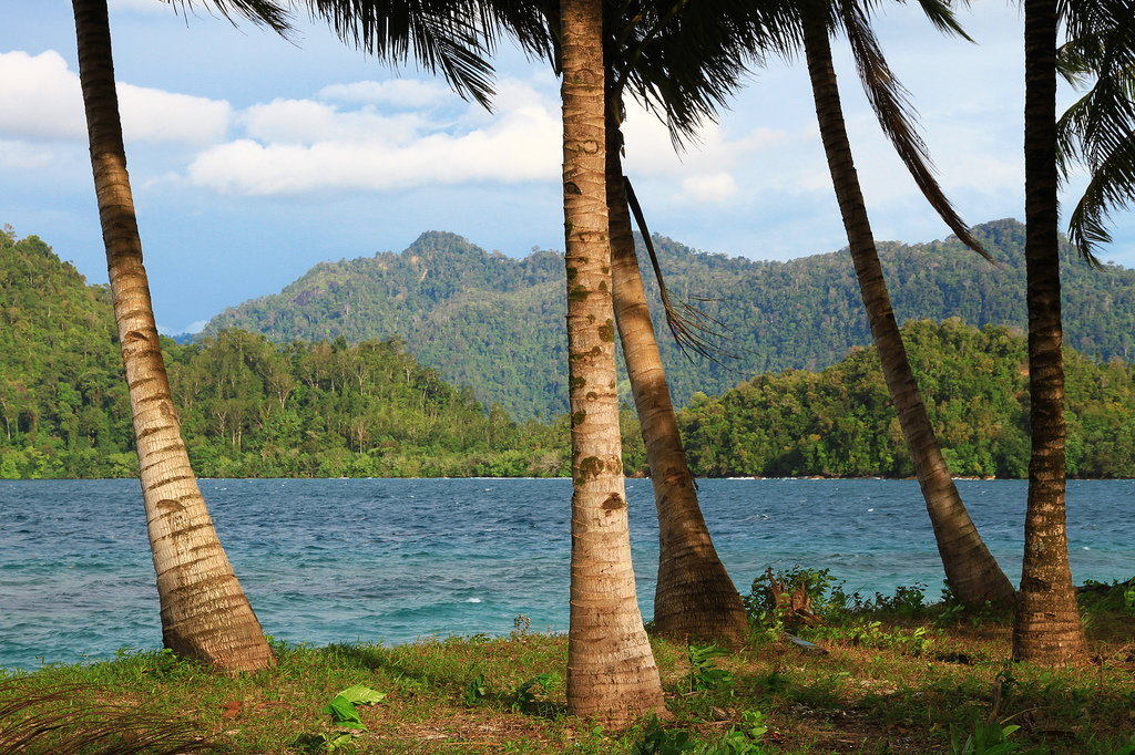 sumatra-topical-paradise-indonesia A tropical paradise off the coast of Sumatra.
