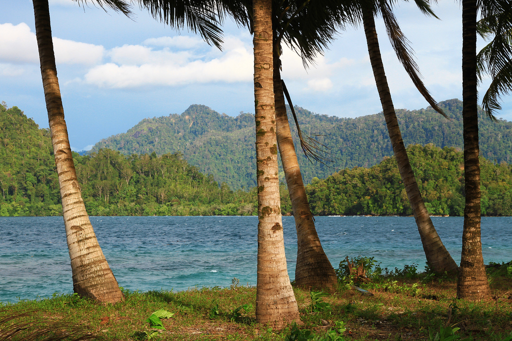 A tropical paradise off the coast of Sumatra.