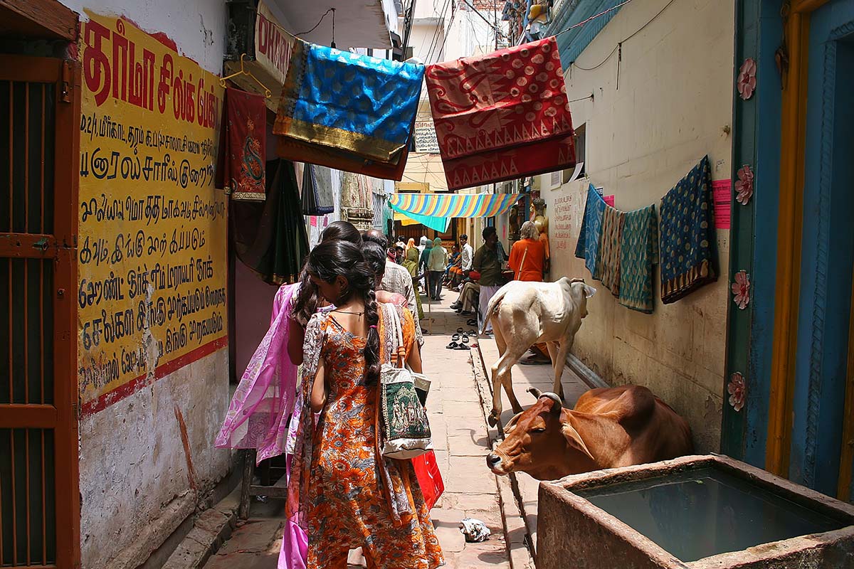 typical-street-scene-varanasi-india The city of Varanasi has grown along the arc of the Ganges, with the river as a focal point in one direction and growth of the city taking place in a semi-circular direction.