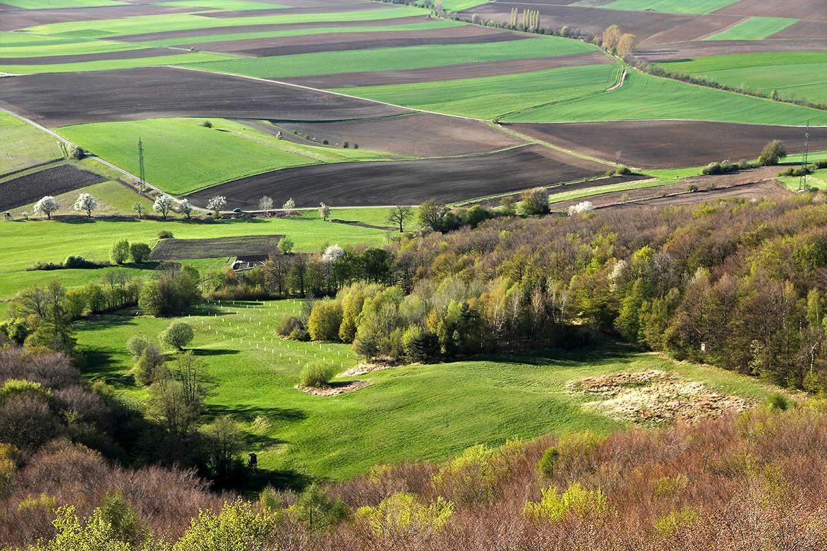 Fresh lush landscapes cover the Austrian land durign spring.