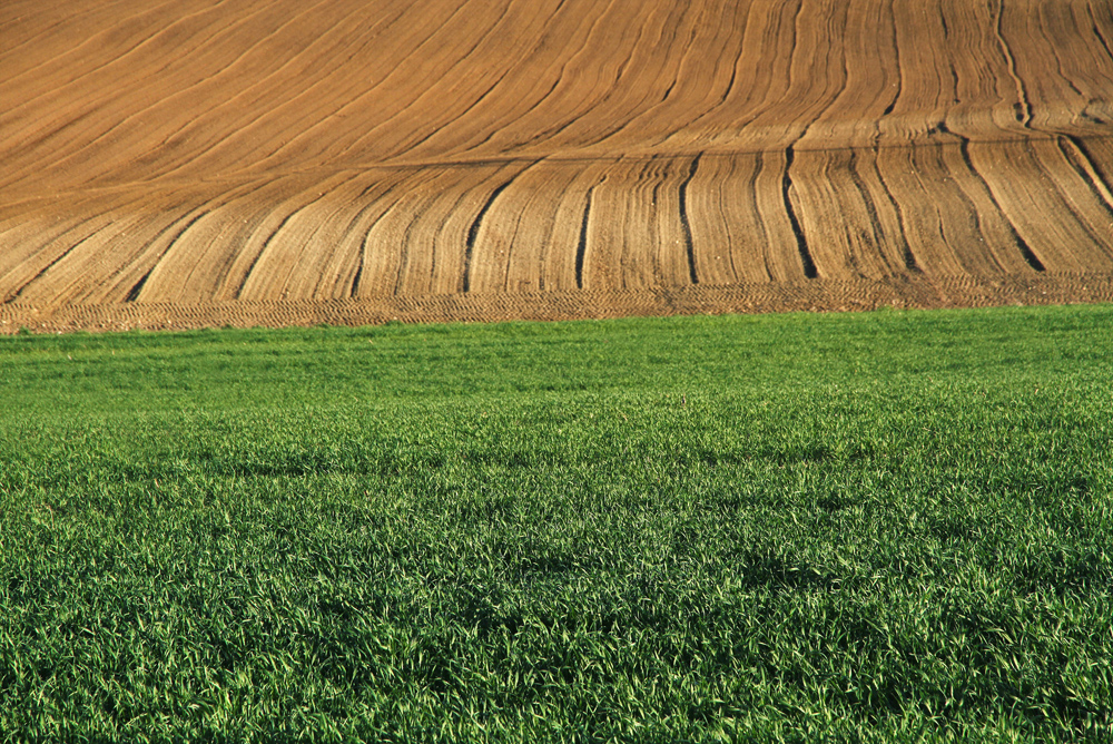 Clear lines show the fields around Vienna.