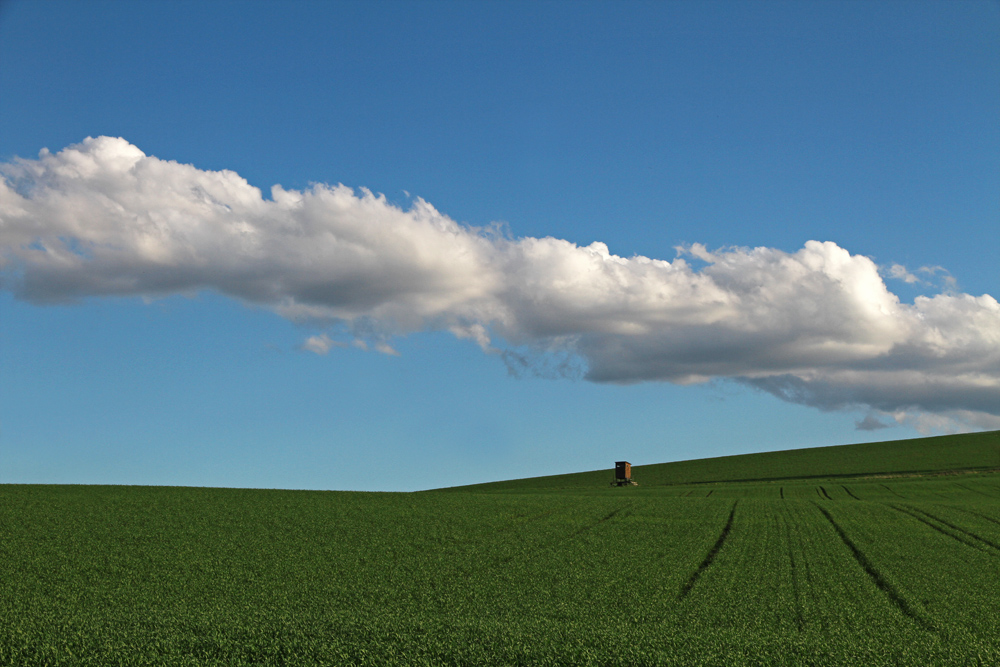 The Austrian landscape around Vienna is flat with throusand of fields.