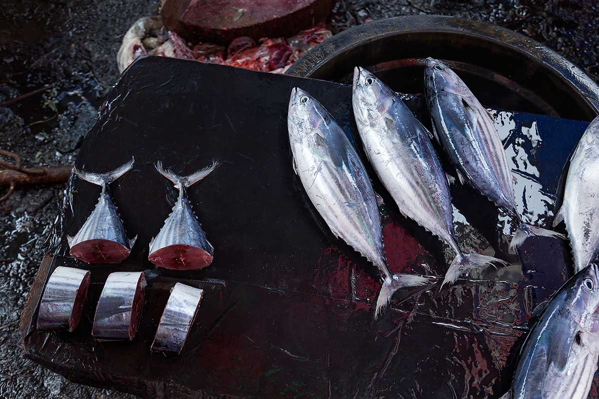 Fish is a staple food across the entire country. Fresh tuna can be bought at almost every local market in Sumatra.