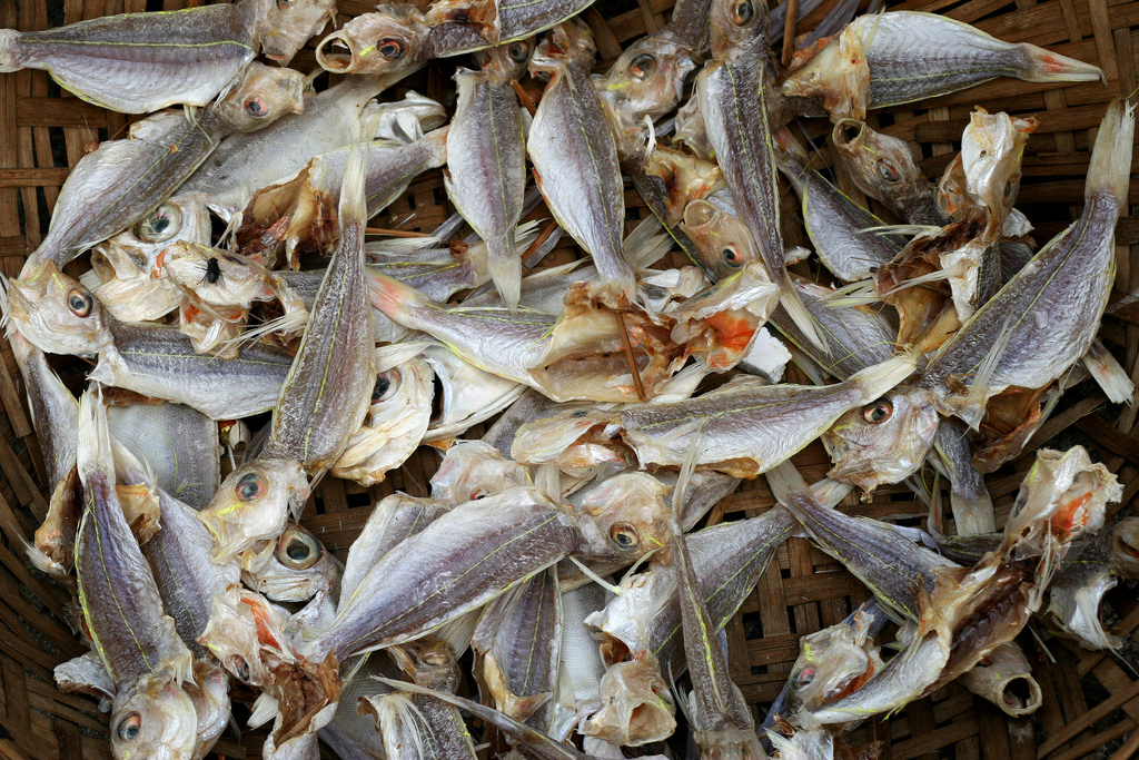 Dried fish at Qingping market in Guangzhou.