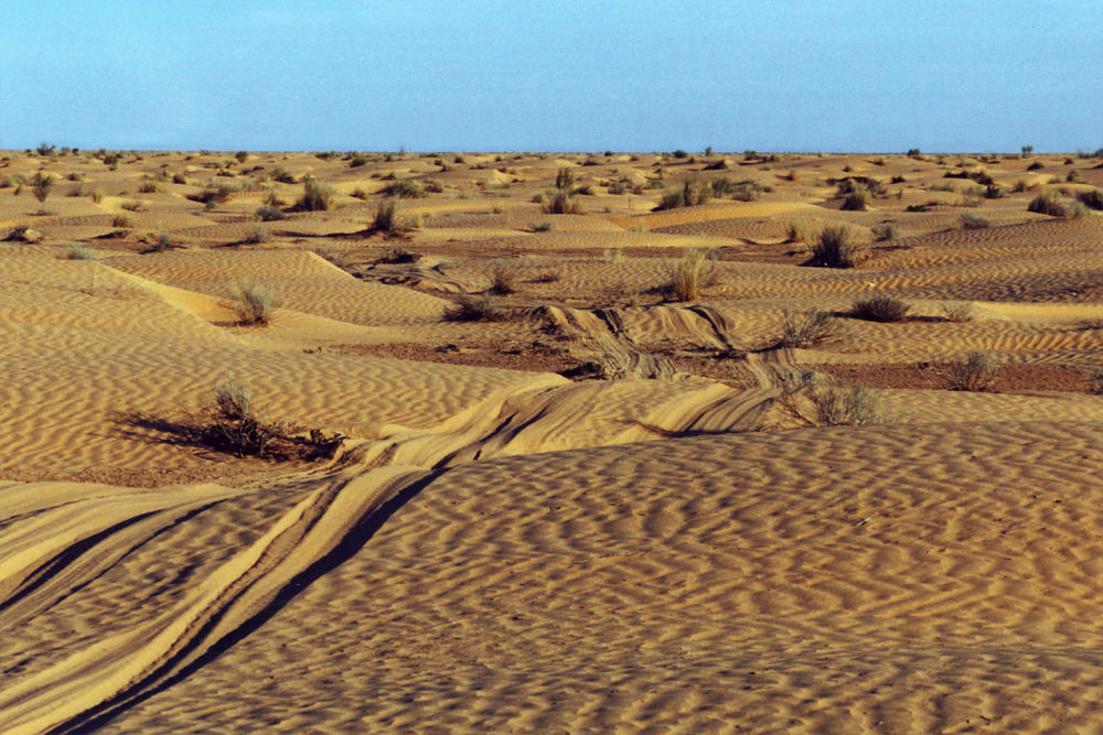 The Sahara desert is one of the hottest places.