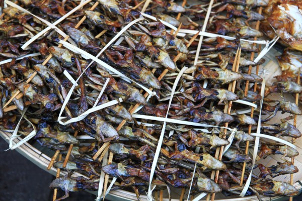 spiked-frogs-market-vientiane-laos Finding grilled frogs at the markets in Vientiane is nothing uncommon.
