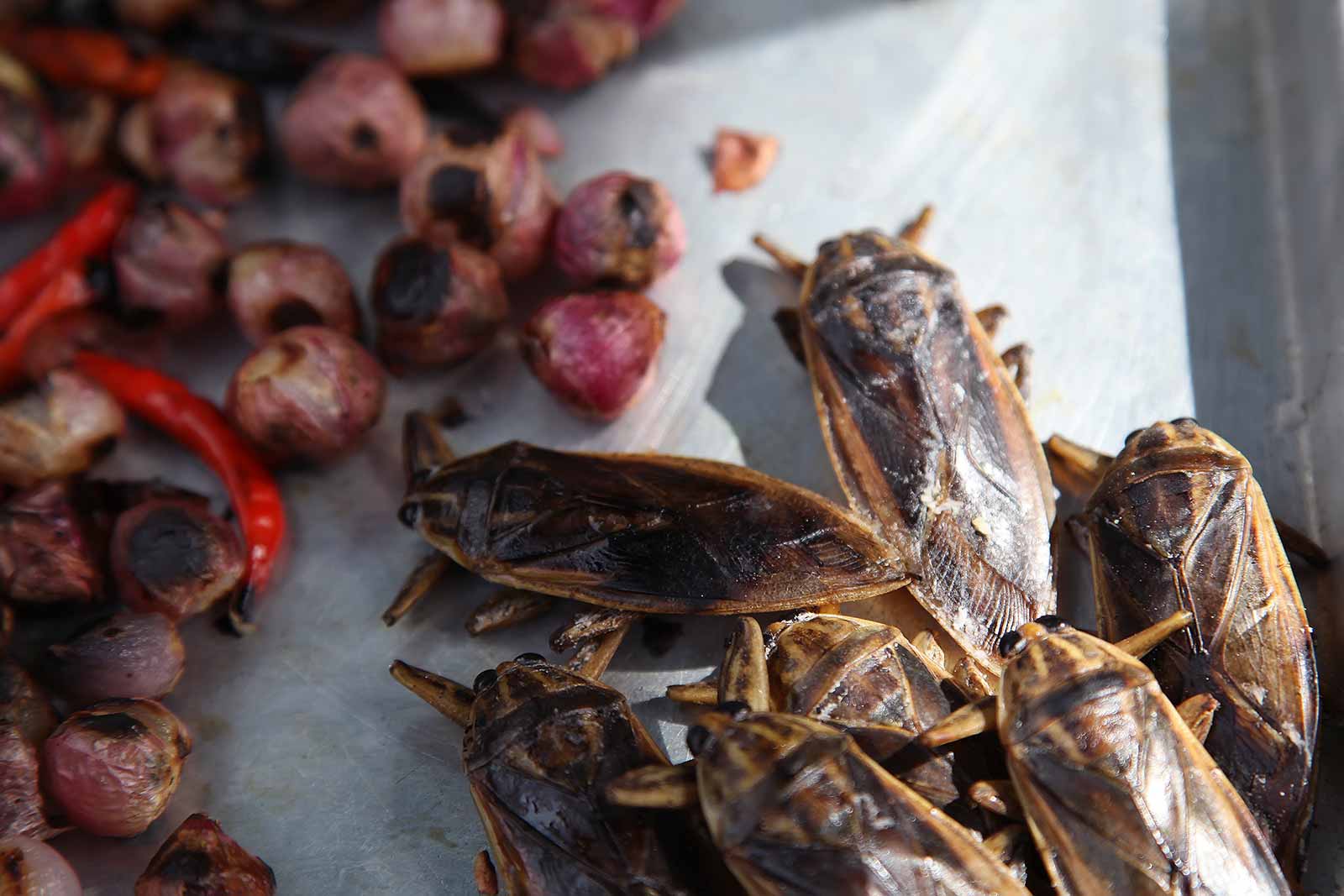 Bugs at a market in Laos.