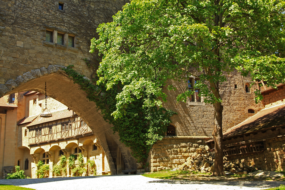 Trees are also growing inside Burg Kreuzenstein.