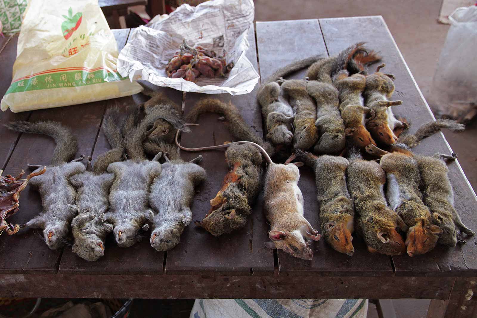 Bush meat at a market in Laos.