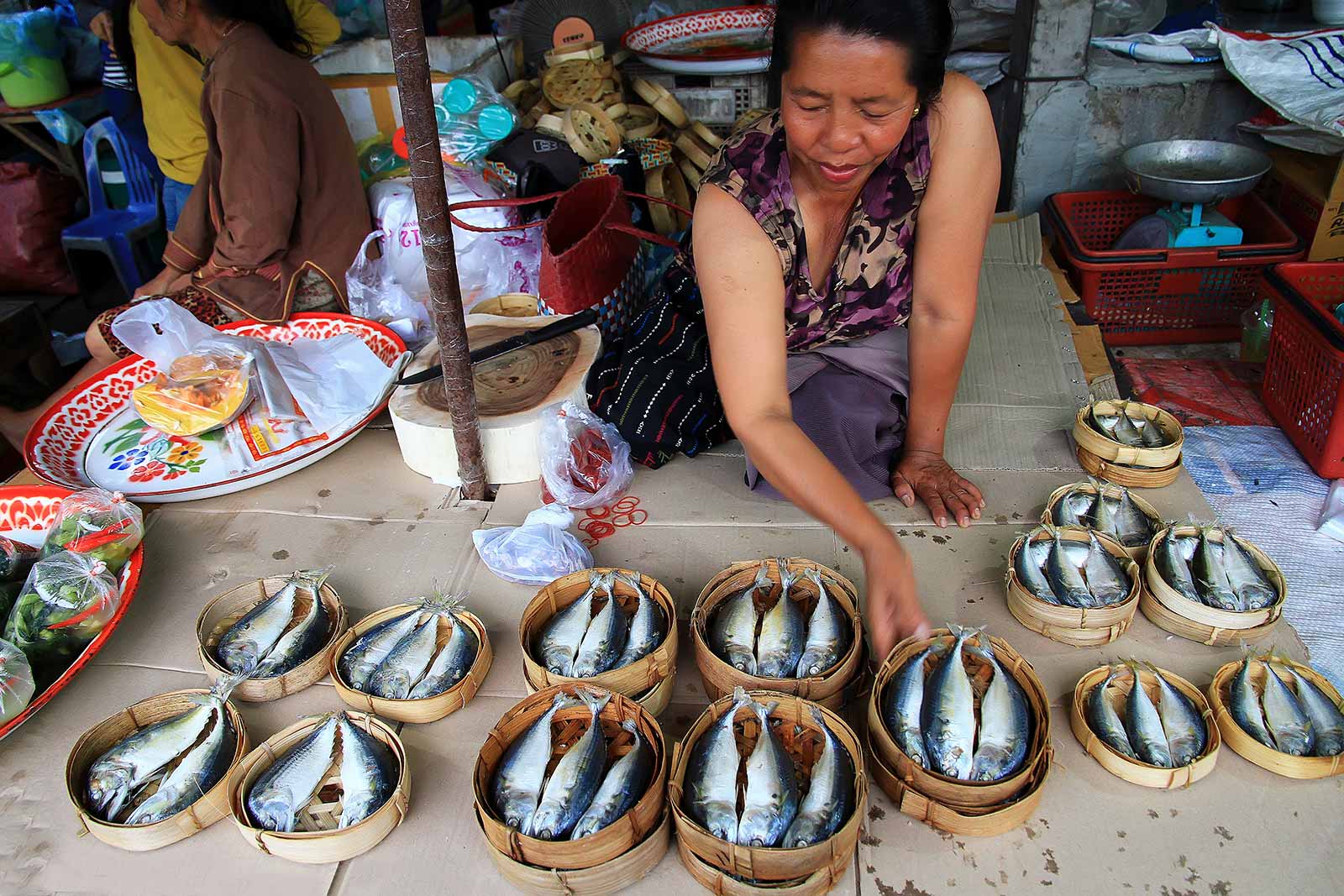 Market woman in Laos selling fish.