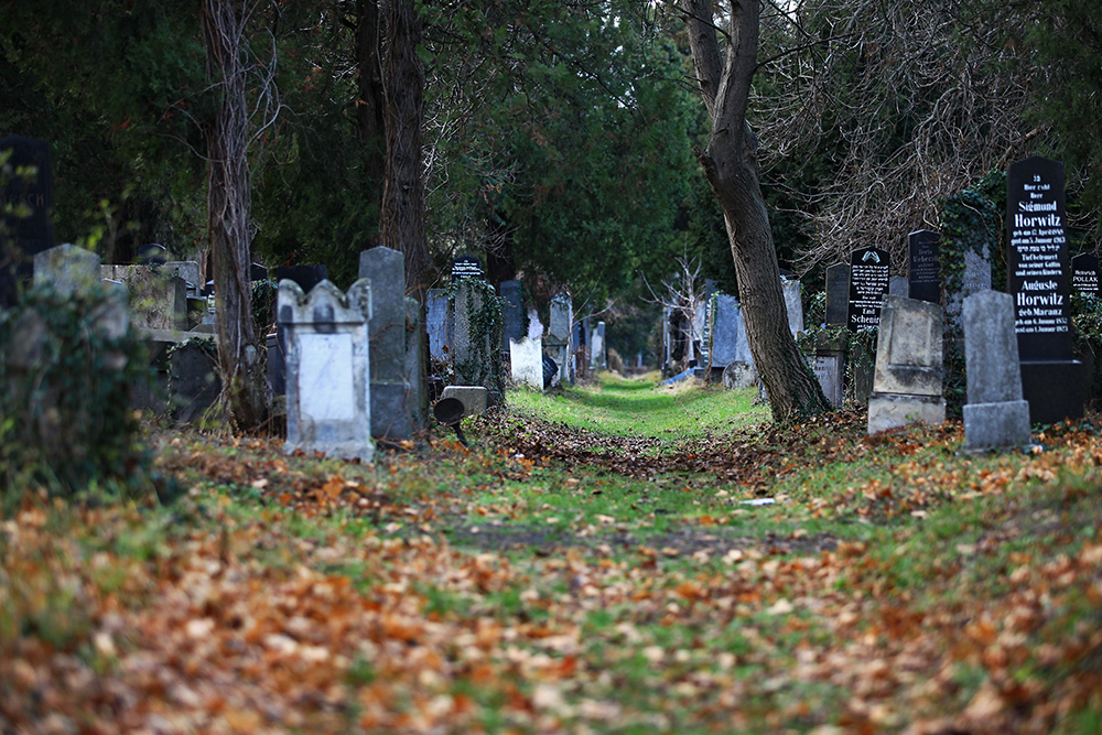 Zentralfriedhof during autumn in Vienna, Austria.