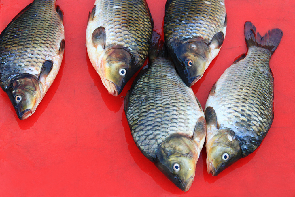 Red - Fish at a market in Gangtok, India.