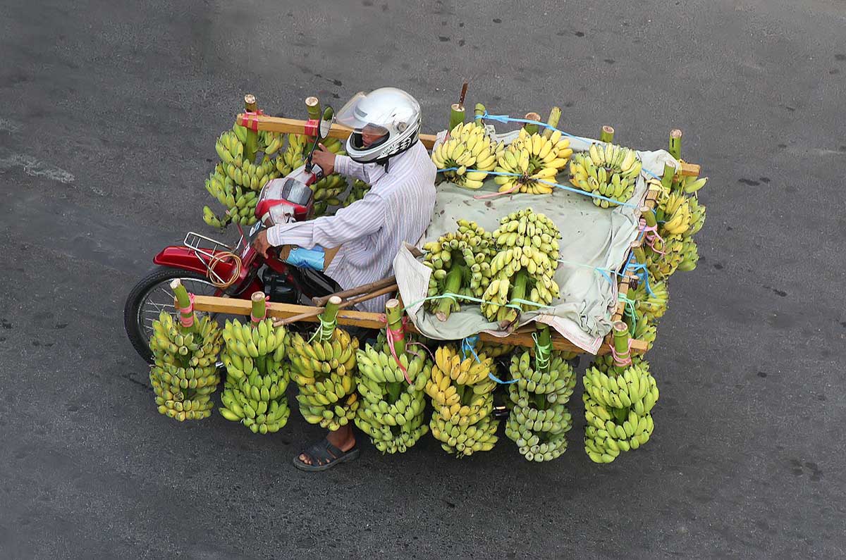 A fully loaded motorbike with bananas on the way to the Central Market in Phnom Penh.