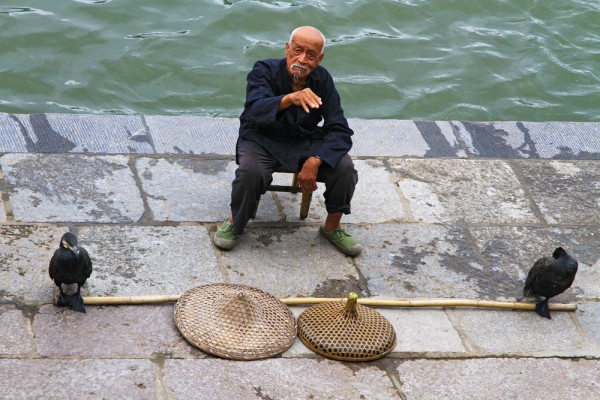 A fisherman with his Cormorant waiting for customers. A fisherman with his Cormorant waiting for customers.