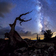Ascendance-Joshua-Tree Ascendance-Joshua-Tree