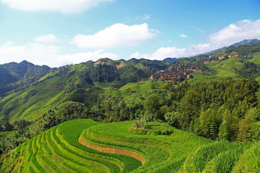 Longji Rice terraces ciewpoint Nr. 1.