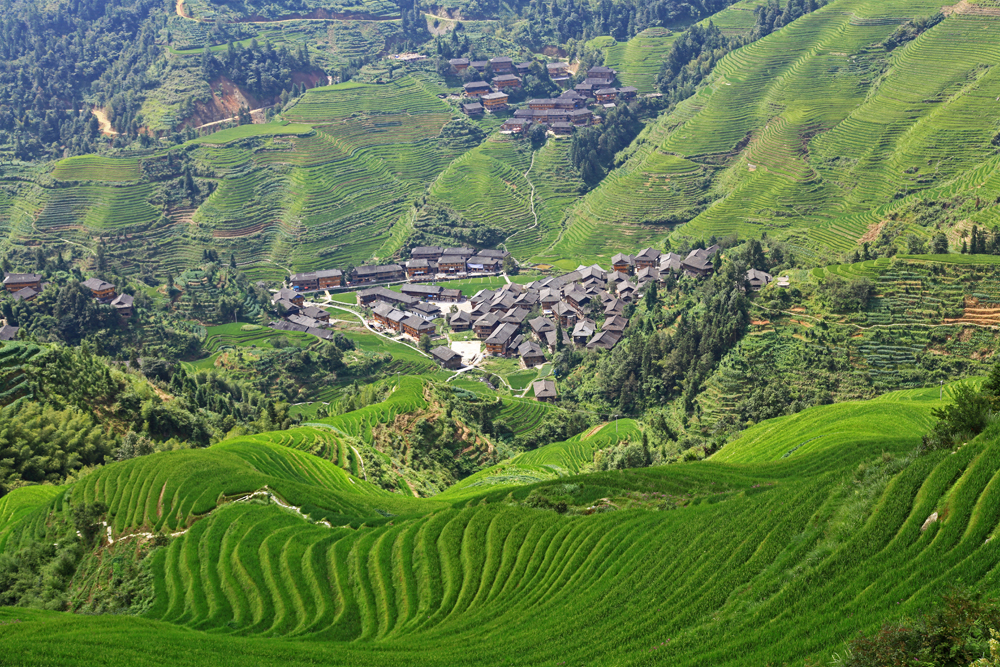 Dazhai village from viewpoint Nr. 1 on the Dragon's Backbone rice terrace.