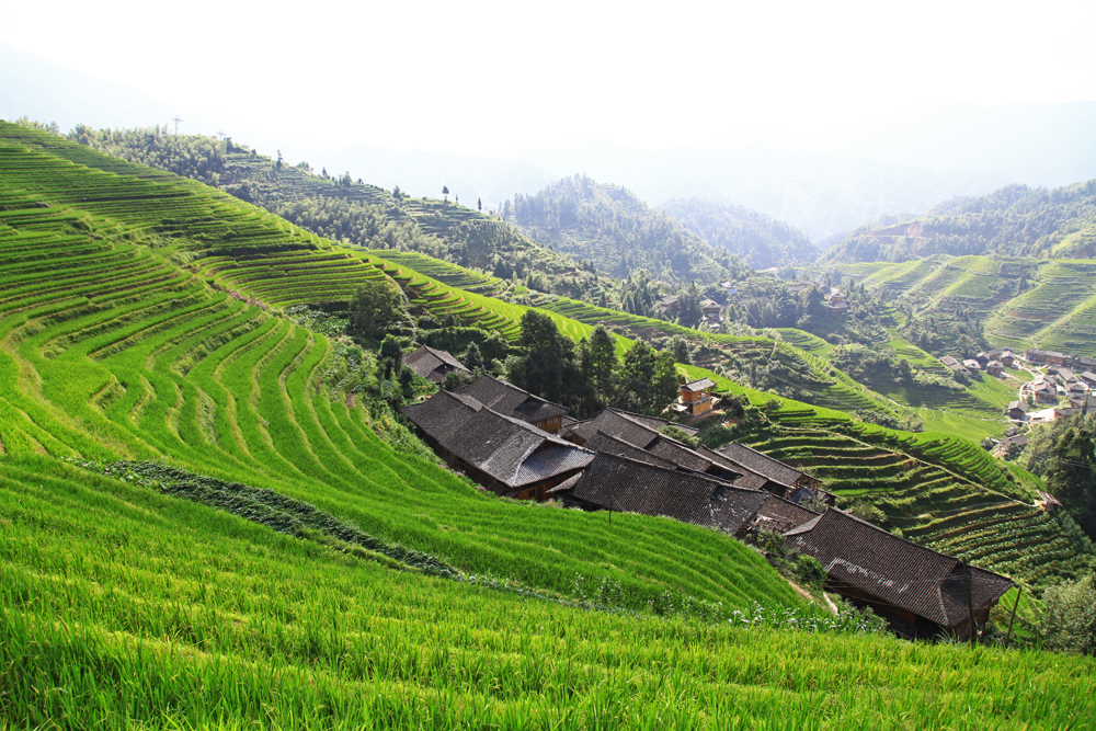 On the way up to viewpoint Nr. 3 of the Dragon's Backbone Rice Terraces.