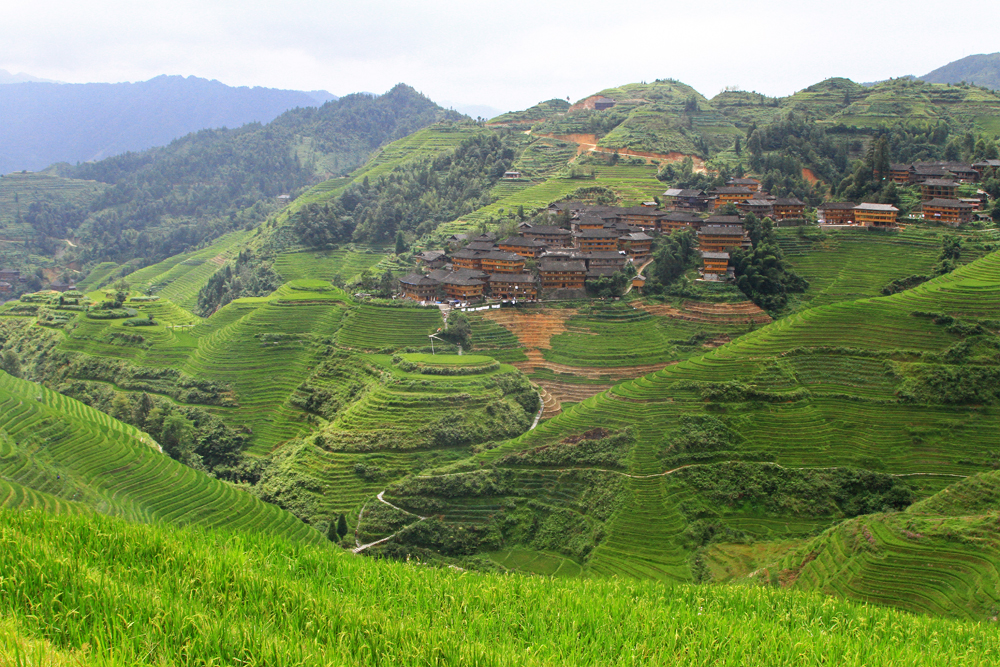 longji-rice-terrace-dazhai-dragon-backbone-china-7 The view of Tiantou village from viewpoint Nr. 3.
