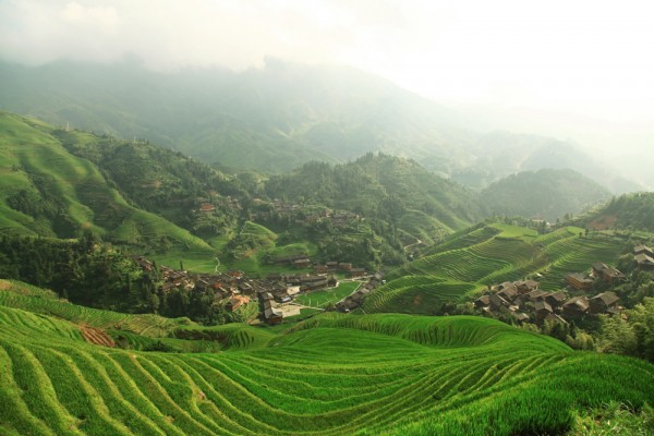 longji-rice-terrace-dazhai-dragon-backbone-china-viewpoint-nr-2 View of Dazhai from Viewpoint Nr. 2 "Thousand Layers to Heaven".