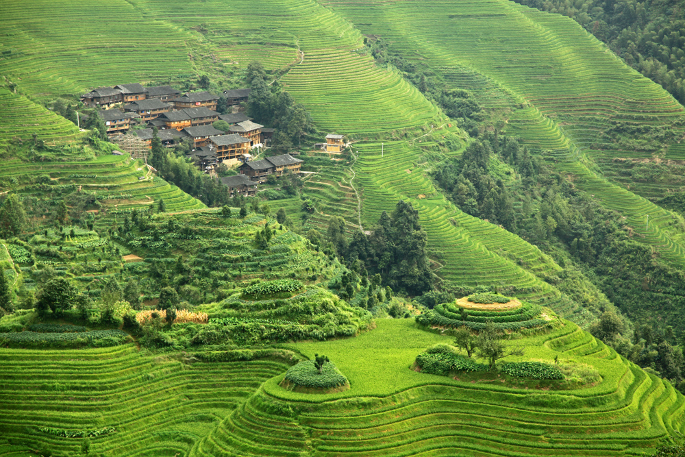 Rice terraces from Viewpoint Nr. 2 in Longsheng County, China.