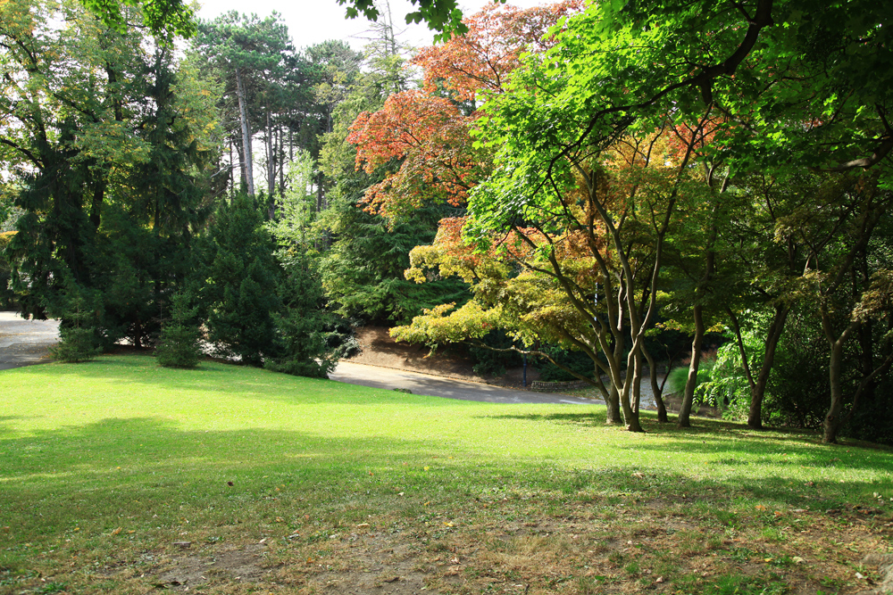 The Türkenschanzpark is a great spot to relax in Vienna.