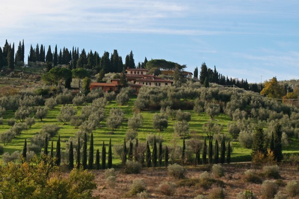 tuscany-landscape-florence-italy The wonderful landscape in Tuscany, Italy.