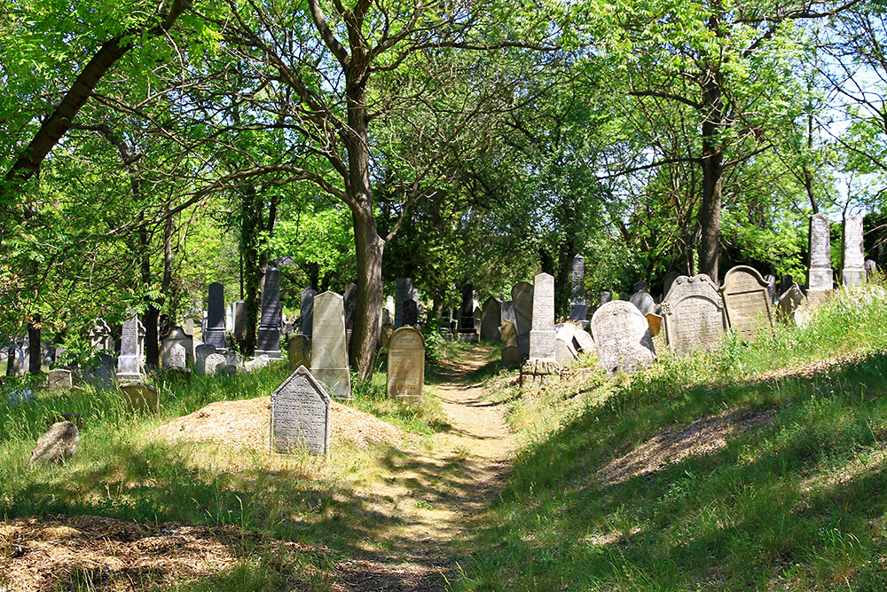 Mikulov-jewish-cemetery-czech-republic The Jewish cemetery in Mikulov, Czech Republic.