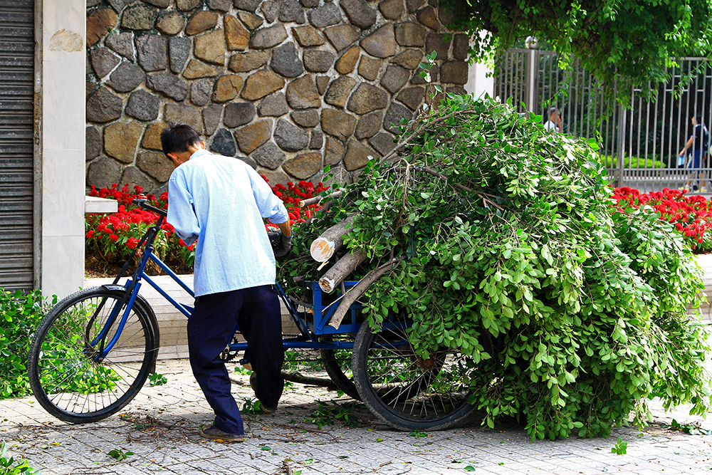 Many gardeners keep Liuhuahu park clean.