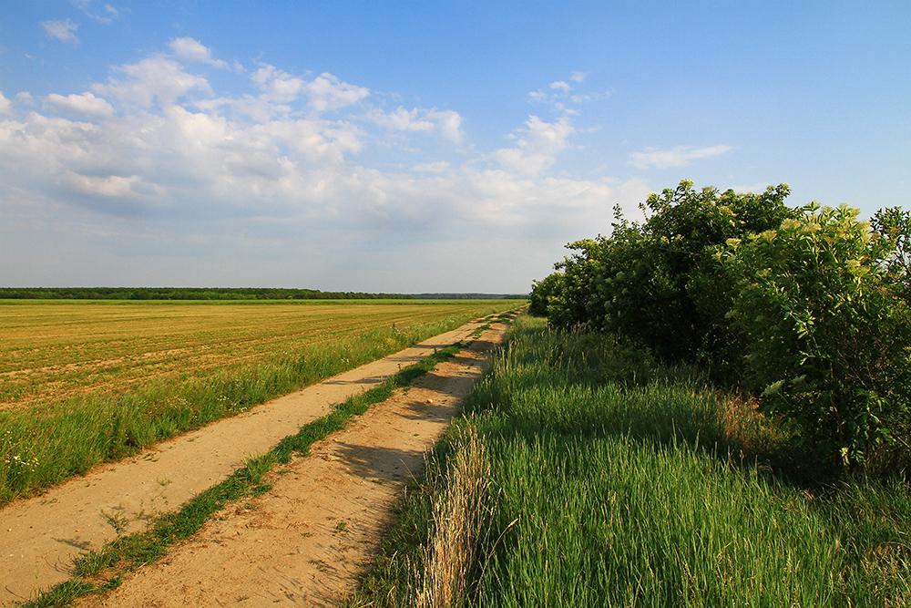 Going off road in Hungary.