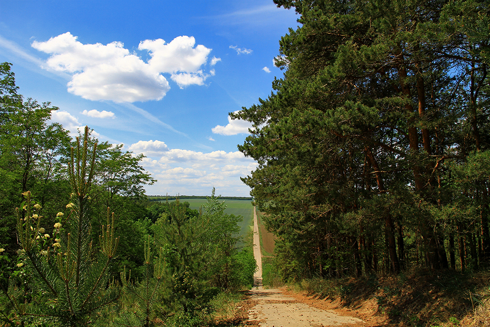 Going off road in Hungary.