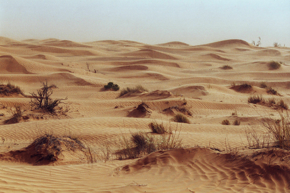 Sand dunes in the desert of Tunisia, Africa.