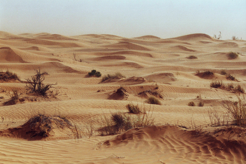 sand-dunes-desert-tunisia-africa Sand dunes in the desert of Tunisia, Africa.