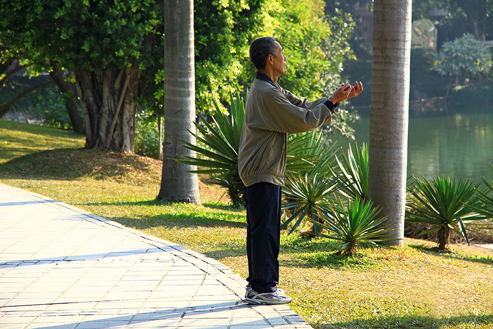 Liuhuahu Park is split into three major areas, the first being the Sightseeing and Resting area. This area is a wonderful place to have a picnic or go for a walk or run along the edge of the lake, and is particularly beautiful in the evening when the sun is setting.