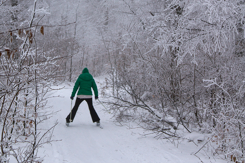 Cross-Country-Skiing in the Viennese Woods, Austria.