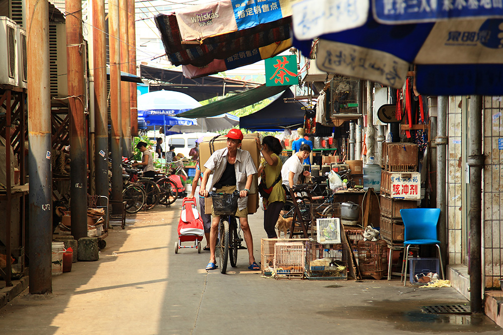 You need a bicycle to get around the side streets in Guangzhou, China.