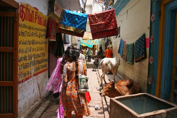 Little side alleys in Varanasi, India. Little side alleys in Varanasi, India.