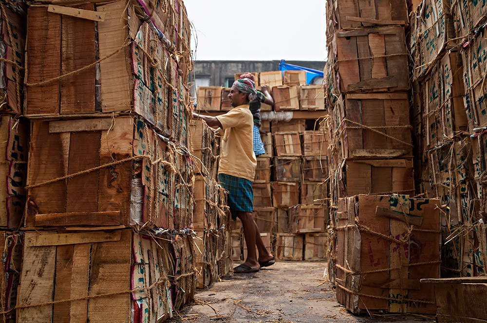 Working men at the the fruit wholesale market in Kolkata, India.