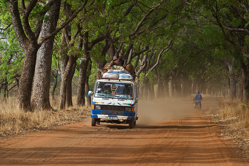 A bush taxi driving though an alley of trees in Banfora, Burkina Faso.