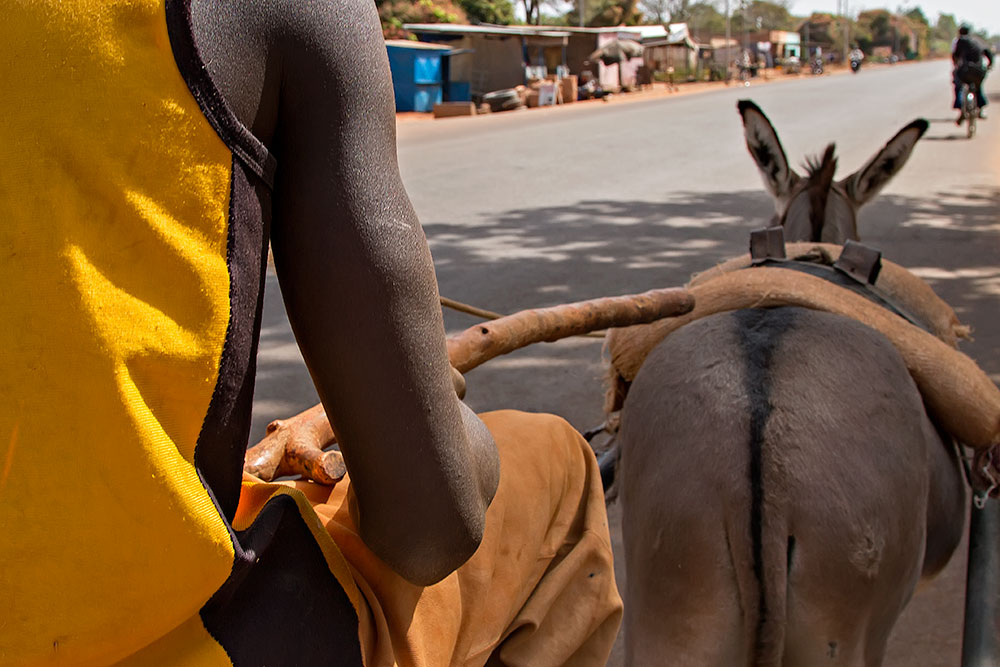 On this donkey cart we were on our way to the hotel in Orodara, Burkina Faso.