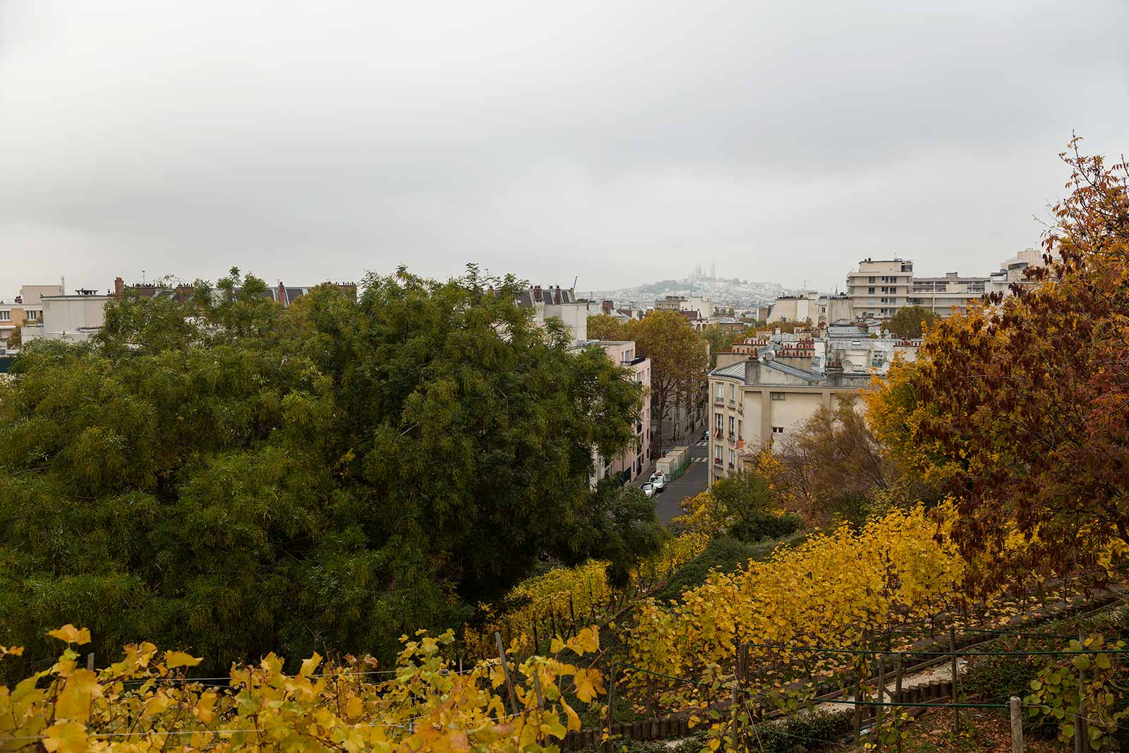 It's not just Montmartre and Parc de Belleville that have the last remaining vineyards in Paris. At Butte Bergeyre you'll not only come across a stunning view, but also a cute litte vineyard.