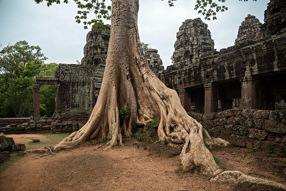 Banteay Kdei temple in Angkor Wat, Cambodia.