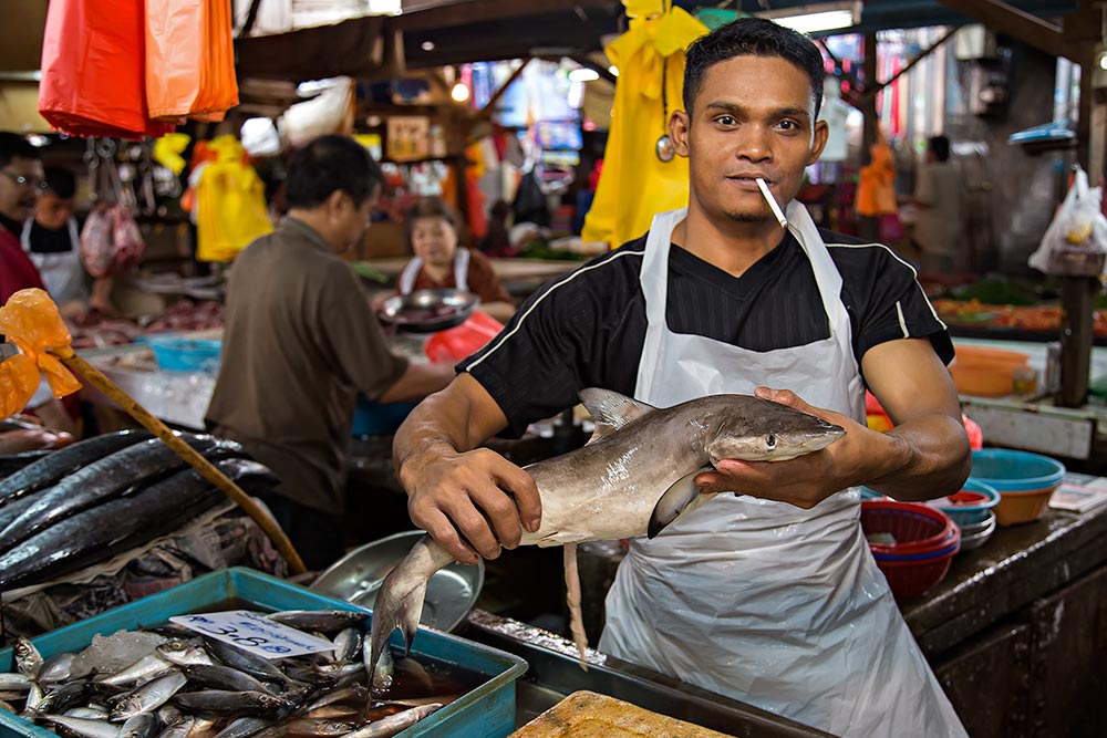 The fish section at Chow Kit market in Kuala Lumpur also includes sharks...