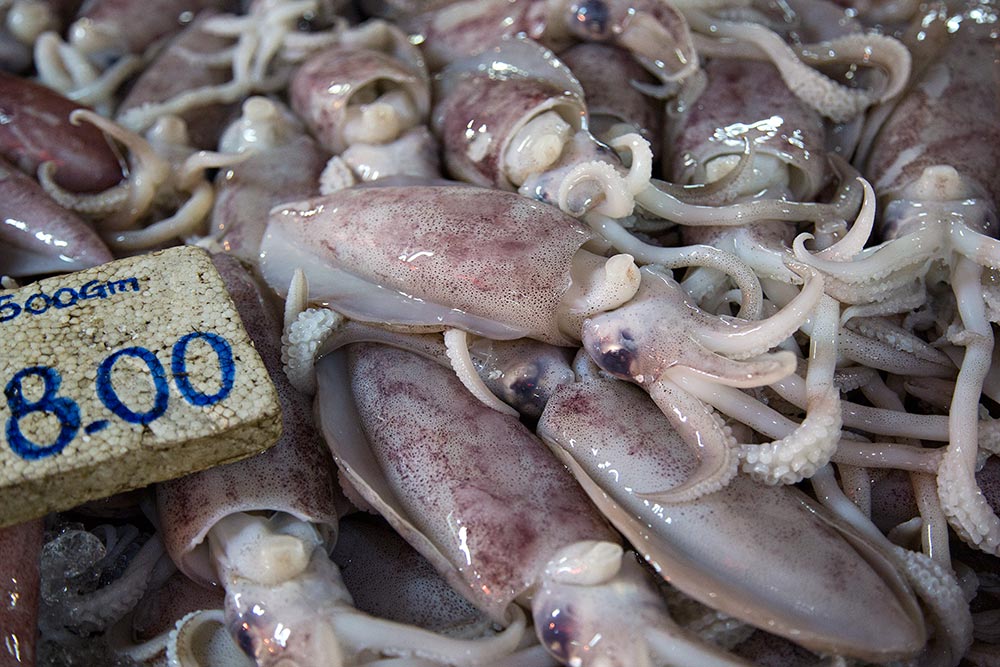 Fresh squid at Chow Kit market in Kuala Lumpur, Malaysia.