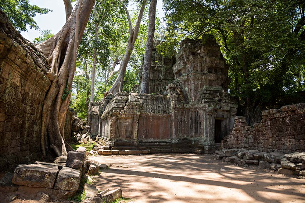 Ta Prohm temple in Angkor Wat, Cambodia.