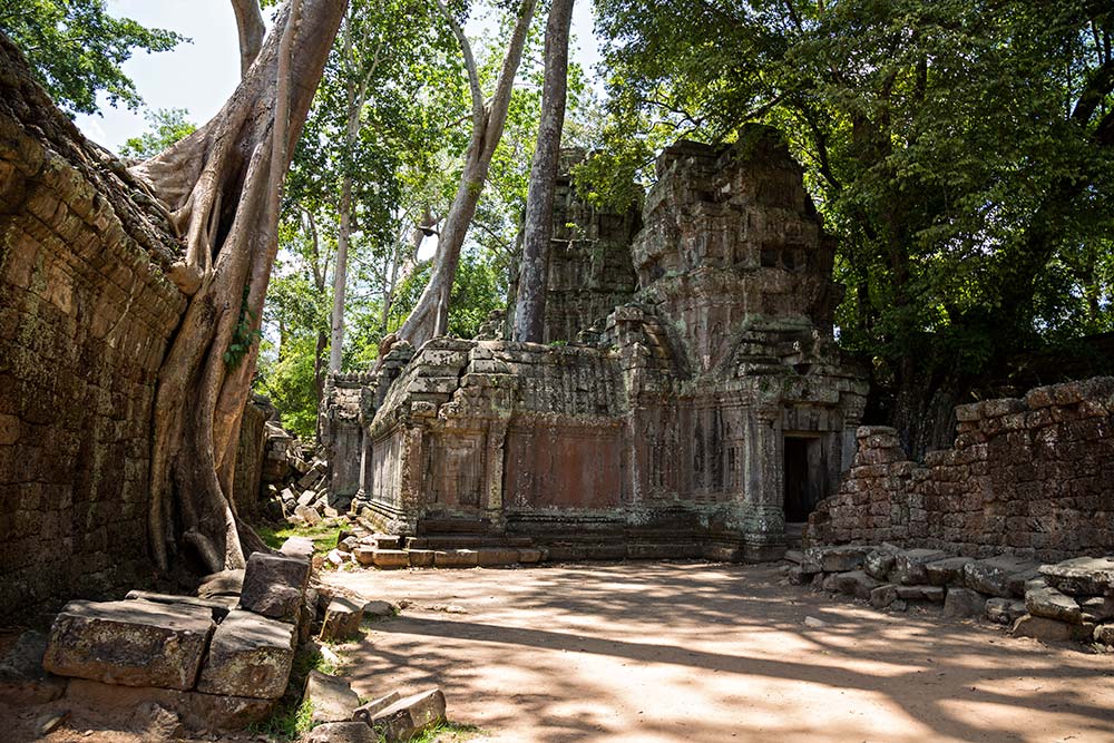 Ta Prohm temple in Angkor Wat, Cambodia. Ta Prohm temple in Angkor Wat, Cambodia.