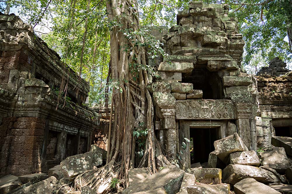 Ta Prohm temple in Angkor Wat, Cambodia. Ta Prohm temple in Angkor Wat, Cambodia.