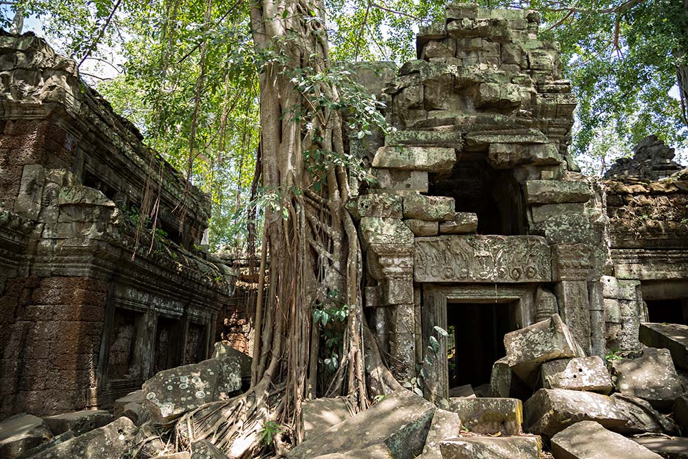 Ta Prohm temple in Angkor Wat, Cambodia.